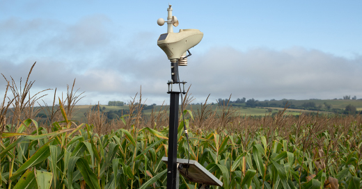 Empresas do agronegócio já têm utilizado tecnologias de sensoriamento remoto para monitorar sua produção em tempo real