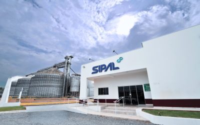 Sipal lança projeto de transformação digital com SAP S/4HANA RISE em parceria com SPRO IT Solutions