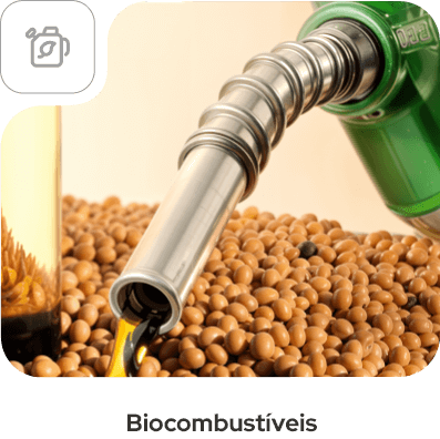 Biocombustíveis