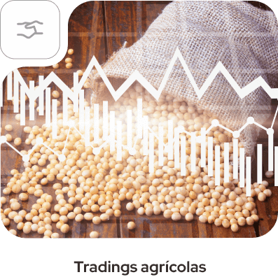Tradings agrícolas
