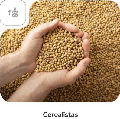Cerealistas