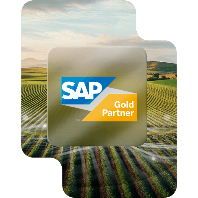 SAP Gold Partner